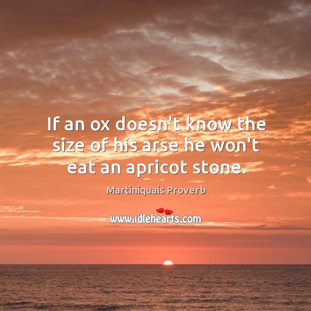 If an ox doesn’t know the size of his arse he won’t eat an apricot stone. Image