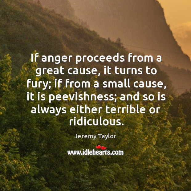 If anger proceeds from a great cause, it turns to fury; Jeremy Taylor Picture Quote