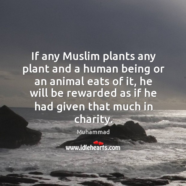 If any Muslim plants any plant and a human being or an Muhammad Picture Quote