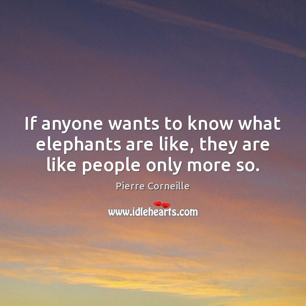 If anyone wants to know what elephants are like, they are like people only more so. Pierre Corneille Picture Quote