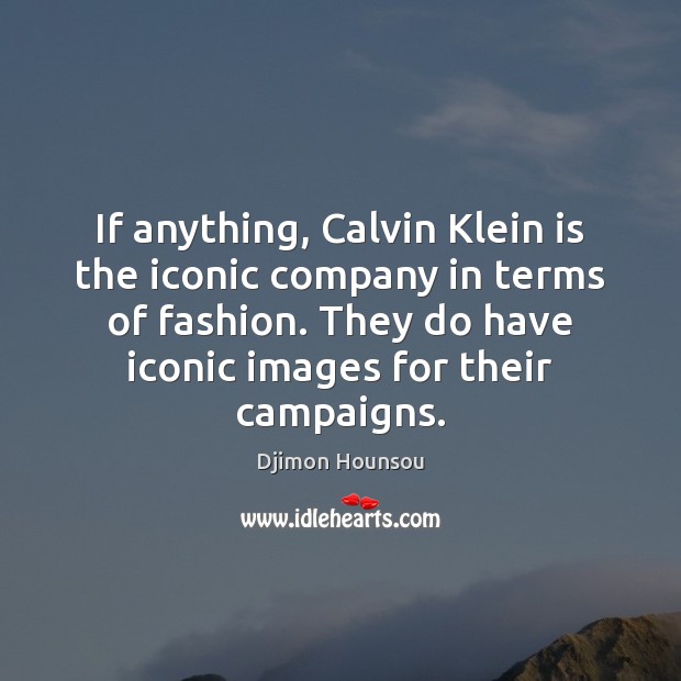 If anything, Calvin Klein is the iconic company in terms of fashion. Djimon Hounsou Picture Quote