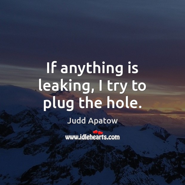 If anything is leaking, I try to plug the hole. Judd Apatow Picture Quote