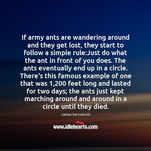 If army ants are wandering around and they get lost, they start James Surowiecki Picture Quote