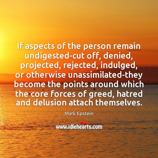 If aspects of the person remain undigested-cut off, denied, projected, rejected, indulged, Image