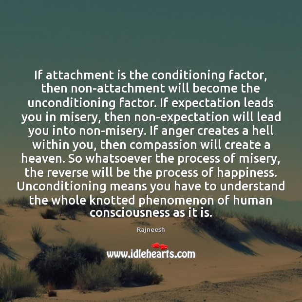 If attachment is the conditioning factor, then non-attachment will become the unconditioning Image