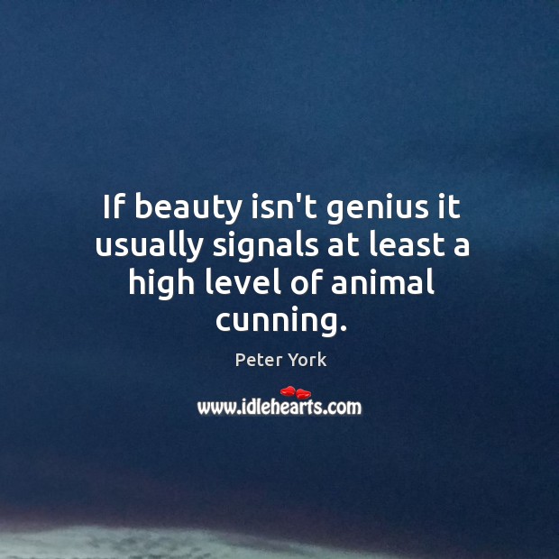 If beauty isn’t genius it usually signals at least a high level of animal cunning. Peter York Picture Quote