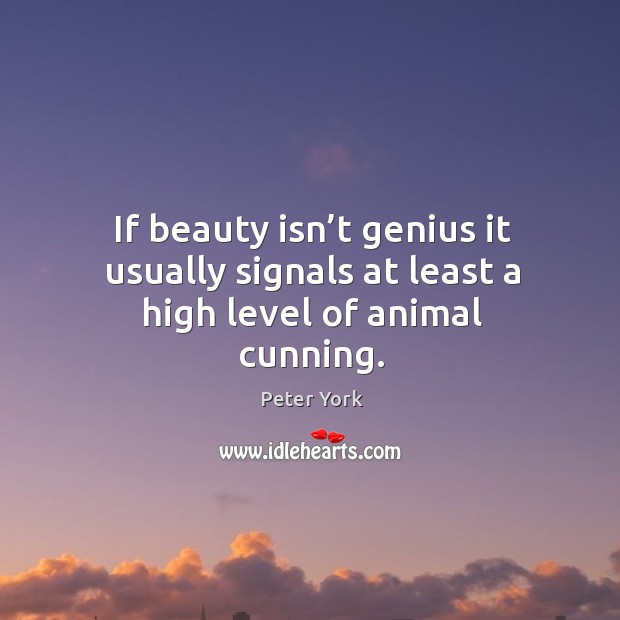 If beauty isn’t genius it usually signals at least a high level of animal cunning. Peter York Picture Quote