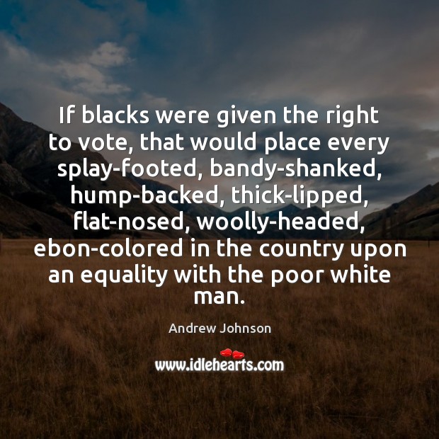 If blacks were given the right to vote, that would place every Andrew Johnson Picture Quote