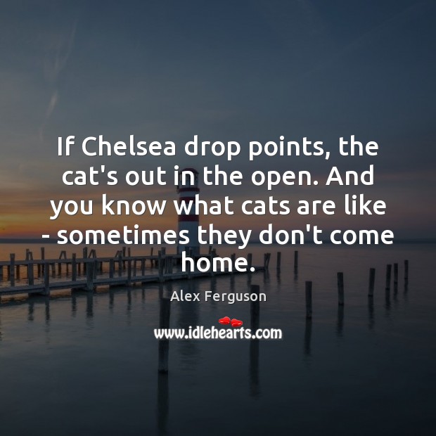 If Chelsea drop points, the cat’s out in the open. And you Alex Ferguson Picture Quote