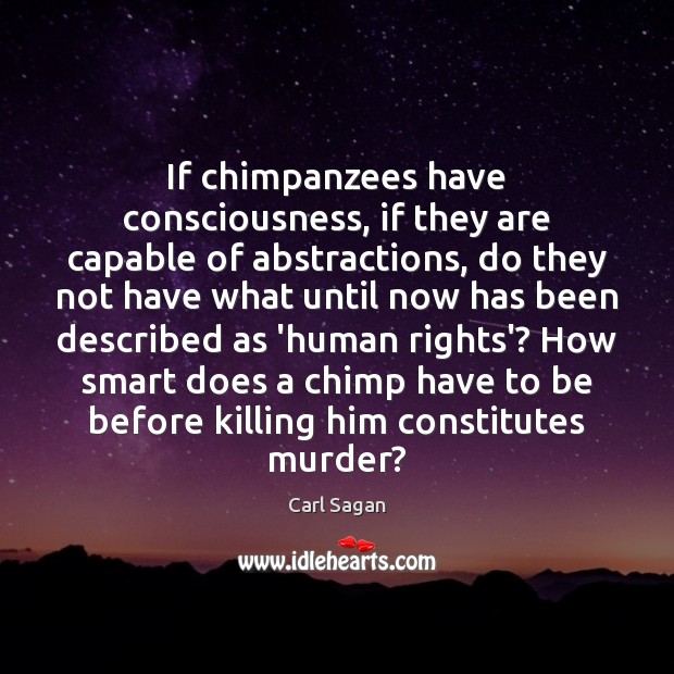 If chimpanzees have consciousness, if they are capable of abstractions, do they Image