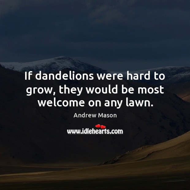 If dandelions were hard to grow, they would be most welcome on any lawn. Image