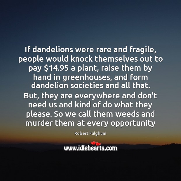 If dandelions were rare and fragile, people would knock themselves out to Image