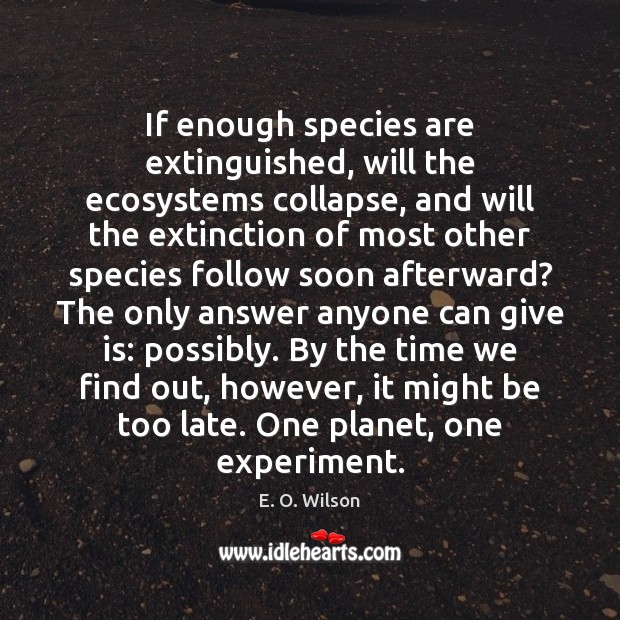 If enough species are extinguished, will the ecosystems collapse, and will the Image