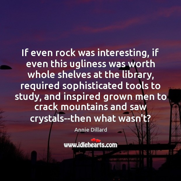 If even rock was interesting, if even this ugliness was worth whole Annie Dillard Picture Quote