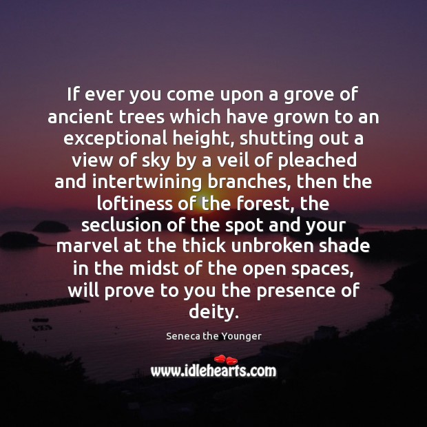 If ever you come upon a grove of ancient trees which have Seneca the Younger Picture Quote