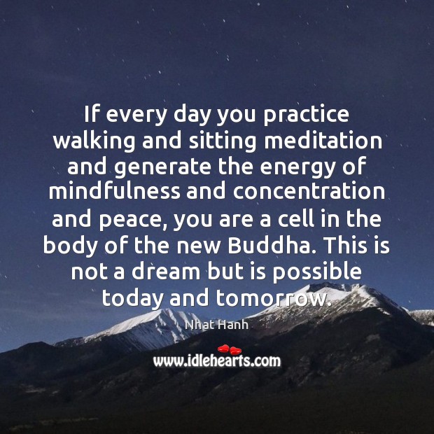 If every day you practice walking and sitting meditation and generate the Nhat Hanh Picture Quote