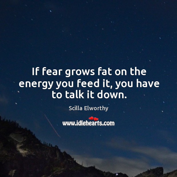 If fear grows fat on the energy you feed it, you have to talk it down. Scilla Elworthy Picture Quote