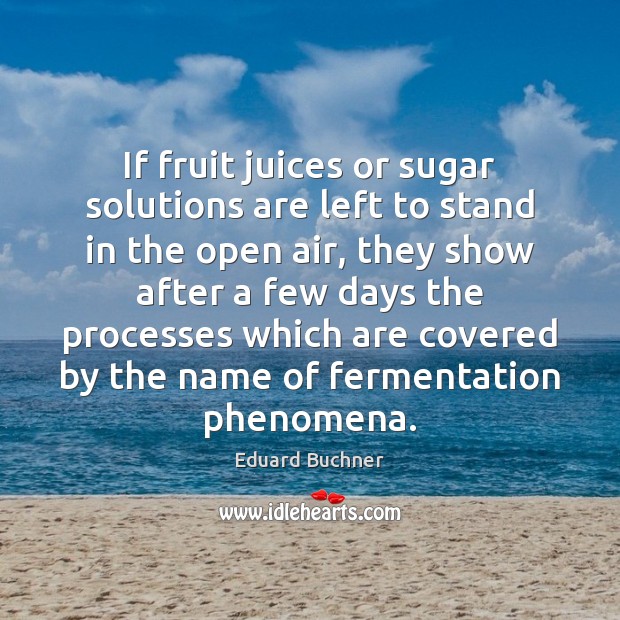 If fruit juices or sugar solutions are left to stand in the Eduard Buchner Picture Quote