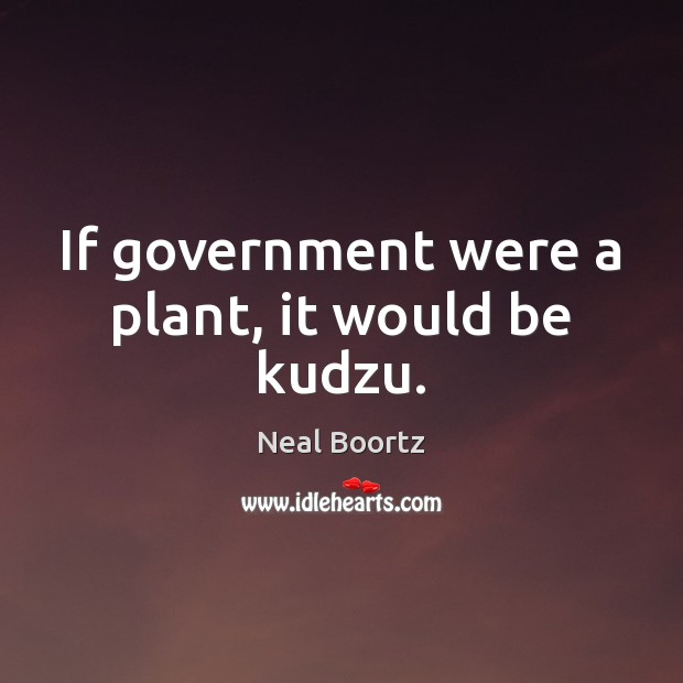 If government were a plant, it would be kudzu. Image