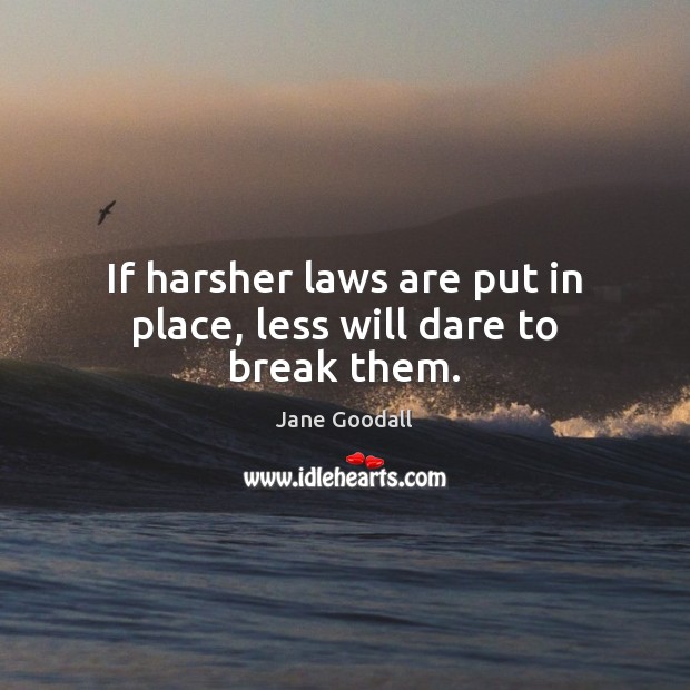 If harsher laws are put in place, less will dare to break them. Image