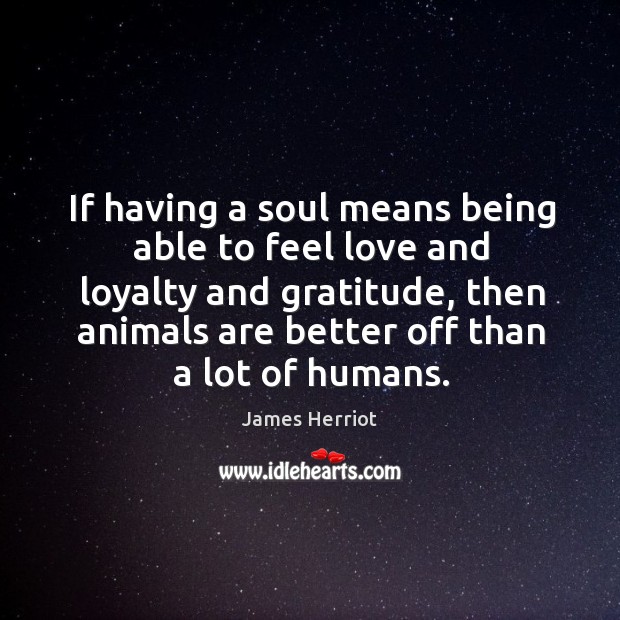 If having a soul means being able to feel love and loyalty and gratitude James Herriot Picture Quote