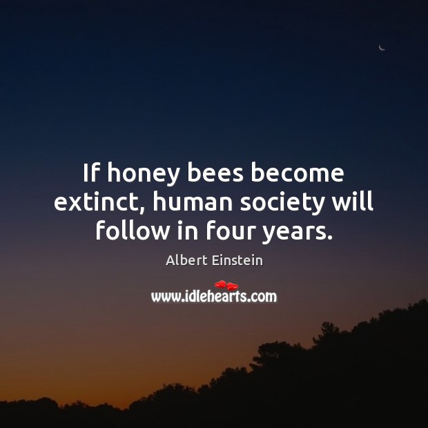 If honey bees become extinct, human society will follow in four years. Image