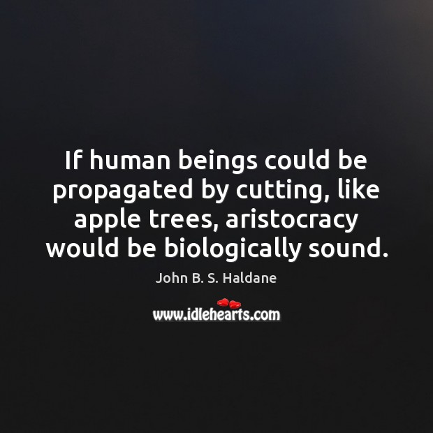 If human beings could be propagated by cutting, like apple trees, aristocracy John B. S. Haldane Picture Quote