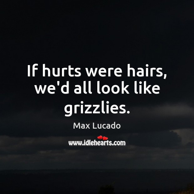 If hurts were hairs, we’d all look like grizzlies. Image
