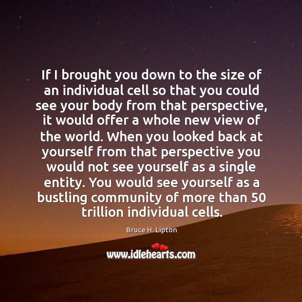 If I brought you down to the size of an individual cell Bruce H. Lipton Picture Quote