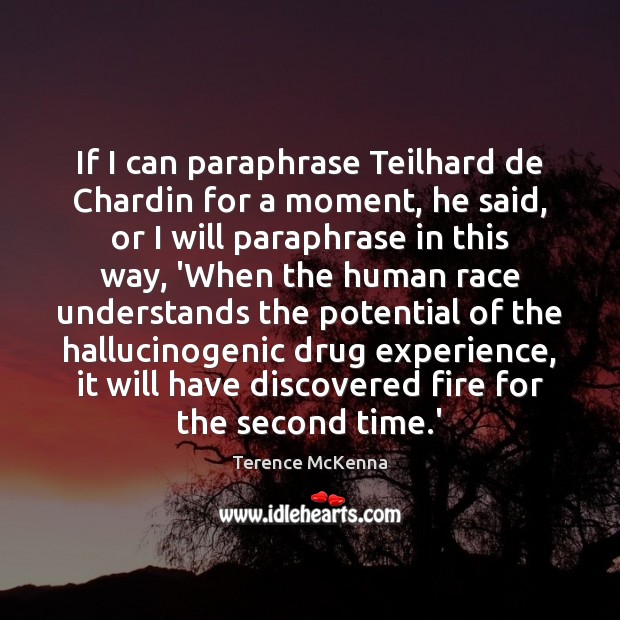 If I can paraphrase Teilhard de Chardin for a moment, he said, Terence McKenna Picture Quote
