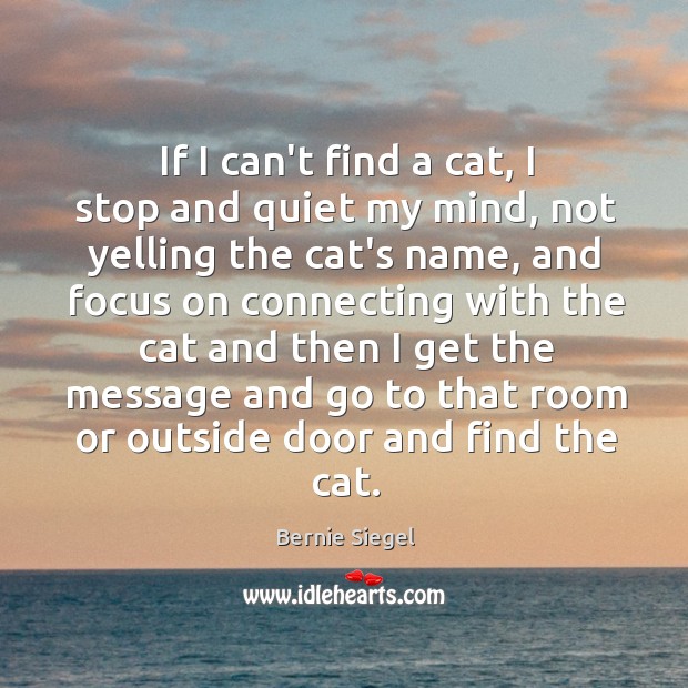If I can’t find a cat, I stop and quiet my mind, Bernie Siegel Picture Quote