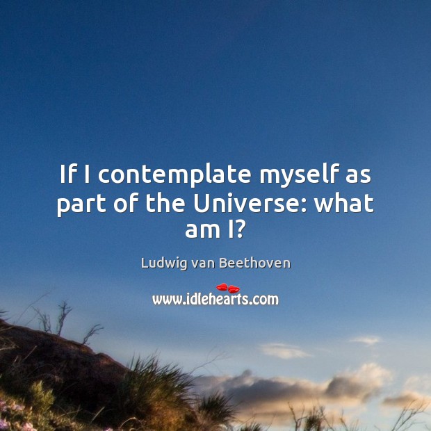 If I contemplate myself as part of the Universe: what am I? Ludwig van Beethoven Picture Quote