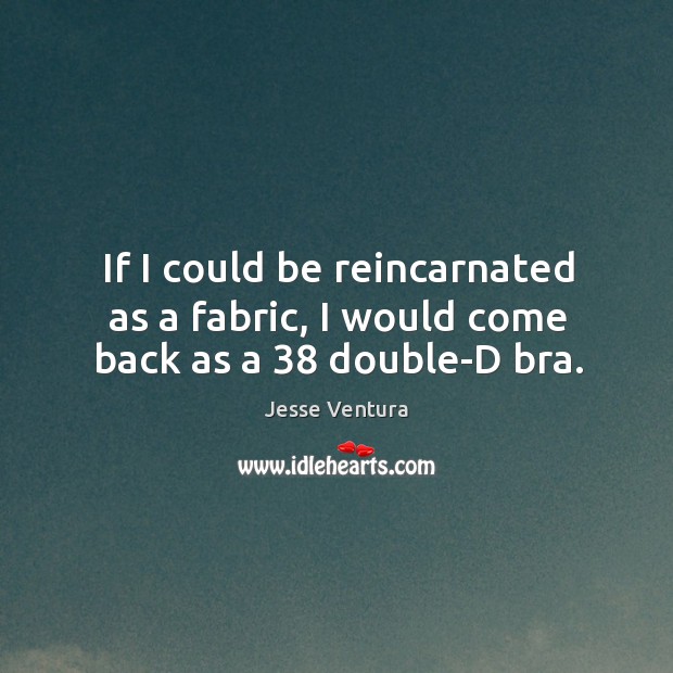 If I could be reincarnated as a fabric, I would come back as a 38 double-d bra. Jesse Ventura Picture Quote