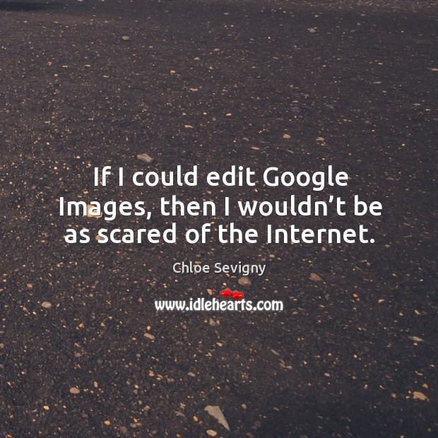 If I could edit google images, then I wouldn’t be as scared of the internet. Chloe Sevigny Picture Quote