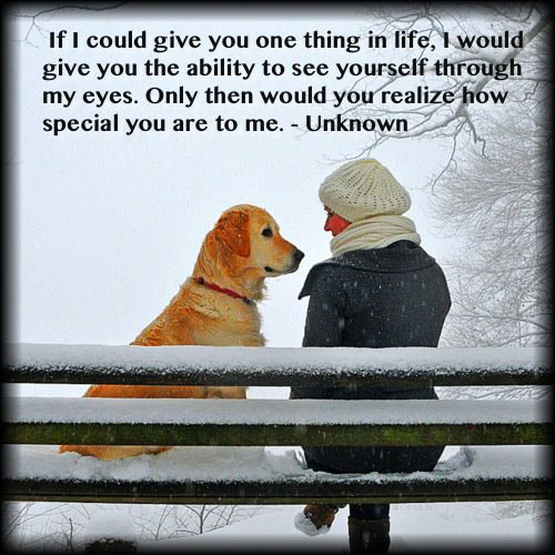 I would give you the ability to see yourself through my eyes. Realize Quotes Image