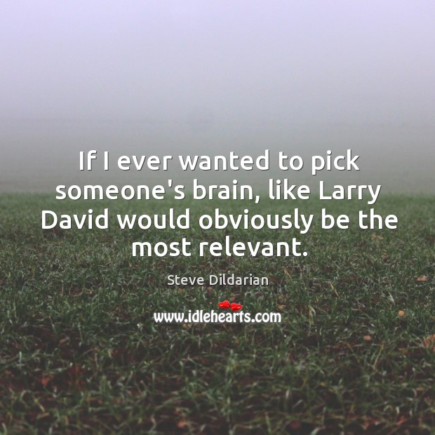 If I ever wanted to pick someone’s brain, like Larry David would Steve Dildarian Picture Quote