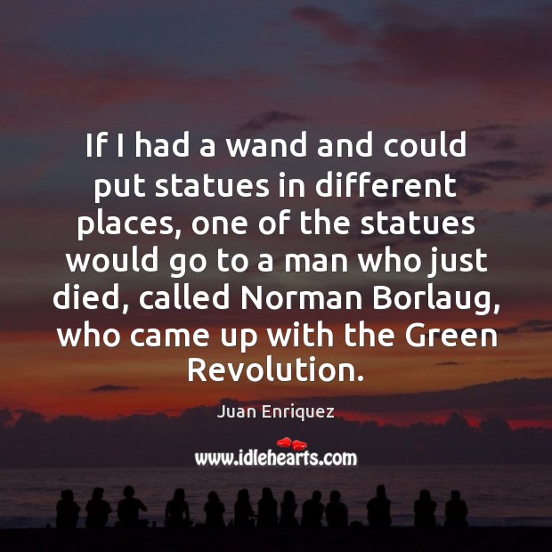 If I had a wand and could put statues in different places, Juan Enriquez Picture Quote