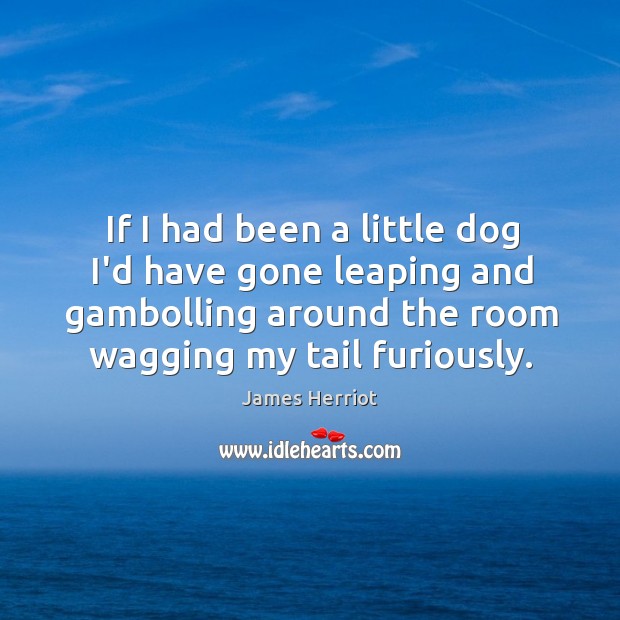 If I had been a little dog I’d have gone leaping and James Herriot Picture Quote