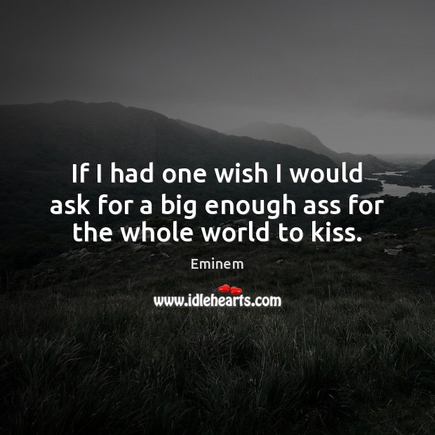 If I had one wish I would ask for a big enough ass for the whole world to kiss. Image
