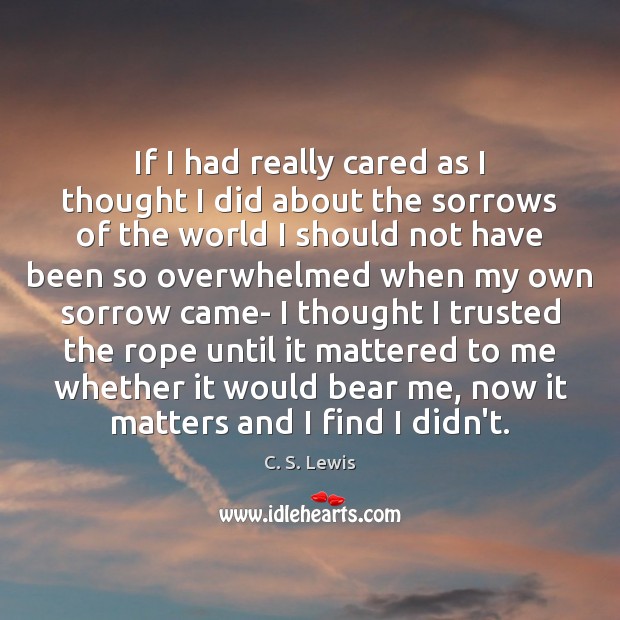If I had really cared as I thought I did about the C. S. Lewis Picture Quote