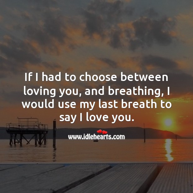 If I had to choose between loving you, and breathing, I would use my last breath to say I love you. I Love You Quotes Image