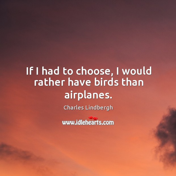 If I had to choose, I would rather have birds than airplanes. Charles Lindbergh Picture Quote