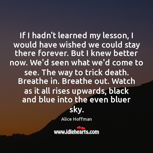 If I hadn’t learned my lesson, I would have wished we could Alice Hoffman Picture Quote