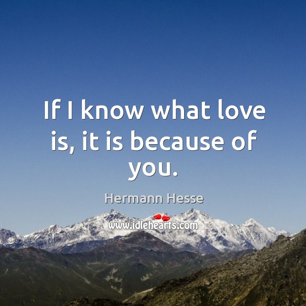 If I know what love is, it is because of you. Hermann Hesse Picture Quote