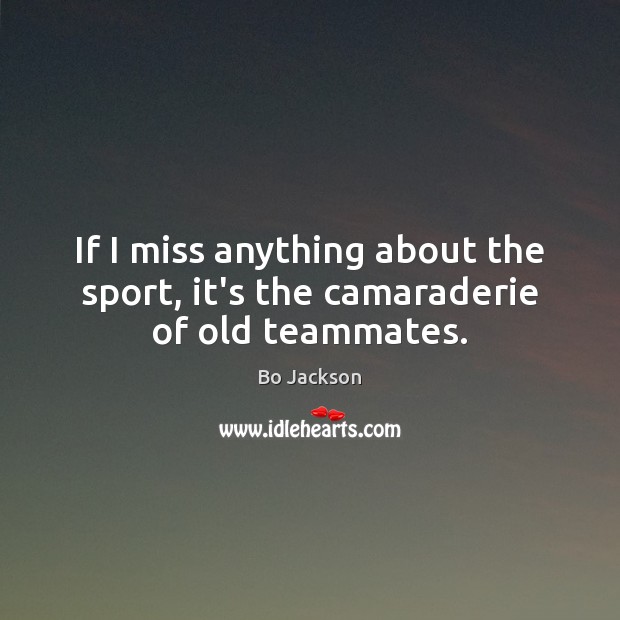 If I miss anything about the sport, it’s the camaraderie of old teammates. Bo Jackson Picture Quote