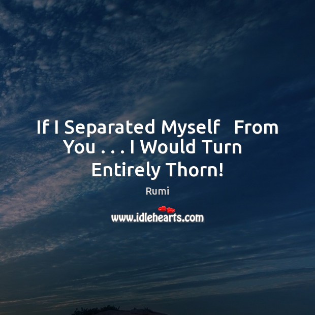 If I Separated Myself   From You . . . I Would Turn   Entirely Thorn! Rumi Picture Quote