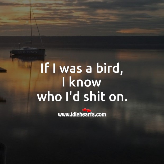 If I was a bird, I know who I’d shit on. Image