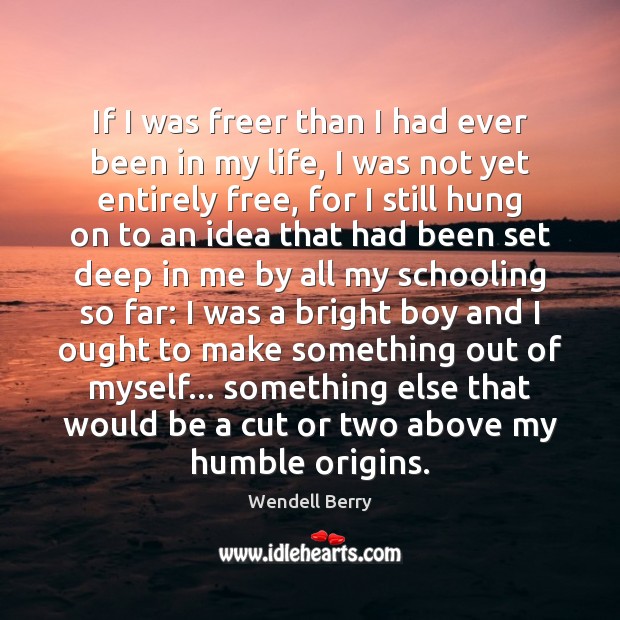 If I was freer than I had ever been in my life, Wendell Berry Picture Quote