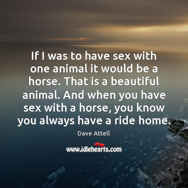 If I was to have sex with one animal it would be Dave Attell Picture Quote