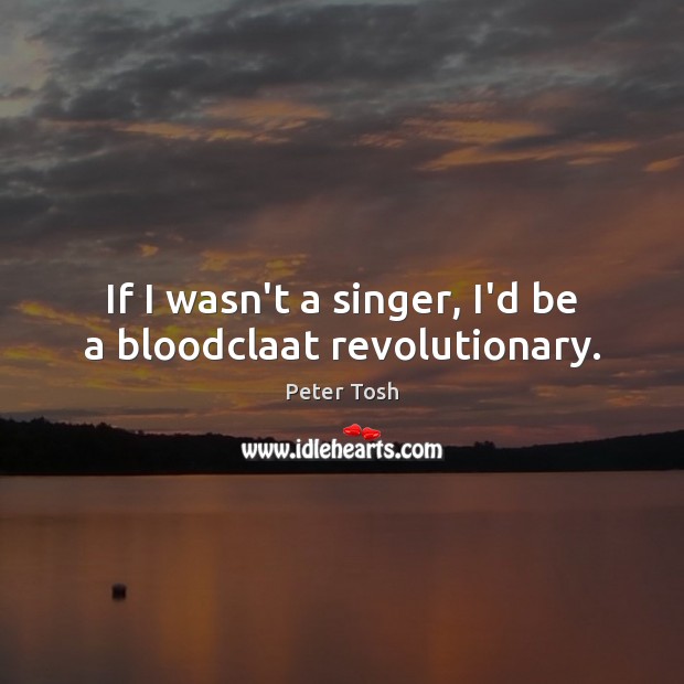If I wasn’t a singer, I’d be a bloodclaat revolutionary. Peter Tosh Picture Quote